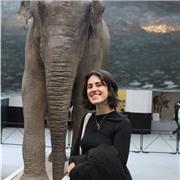 laureata in lingue e letterature straniere all’università di Palermo 110L impartisce lezioni private e aiuto compiti per ragazzi